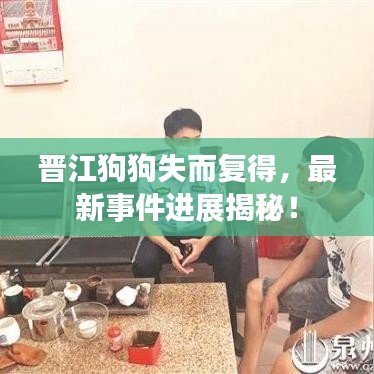 晉江狗狗失而復(fù)得，最新事件進(jìn)展揭秘！