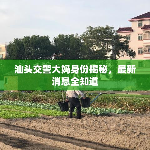 公司簡介 第7頁