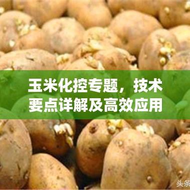 玉米化控專題，技術(shù)要點詳解及高效應(yīng)用策略實戰(zhàn)分享