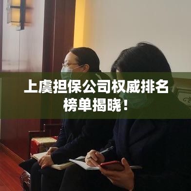 上虞擔(dān)保公司權(quán)威排名榜單揭曉！