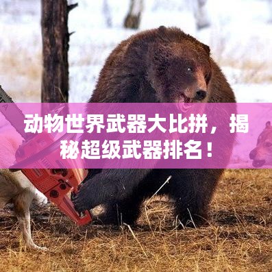 動(dòng)物世界武器大比拼，揭秘超級(jí)武器排名！