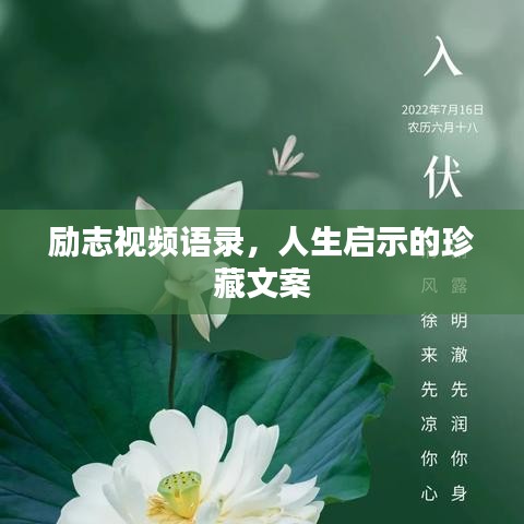 勵志視頻語錄，人生啟示的珍藏文案