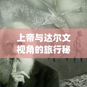 上帝與達(dá)爾文視角的旅行秘籍，揭秘最佳旅游指南！