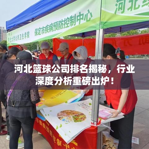 河北籃球公司排名揭秘，行業(yè)深度分析重磅出爐！