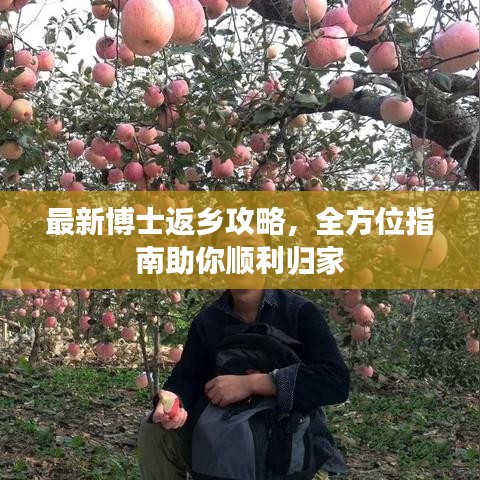 最新博士返鄉(xiāng)攻略，全方位指南助你順利歸家