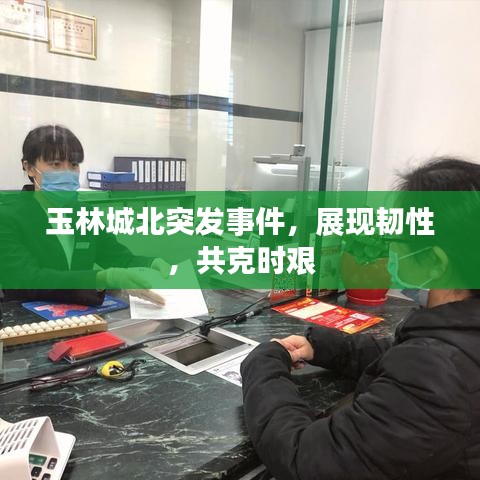 玉林城北突發(fā)事件，展現(xiàn)韌性，共克時(shí)艱