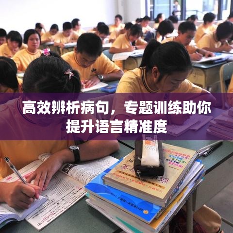高效辨析病句，專題訓(xùn)練助你提升語言精準(zhǔn)度