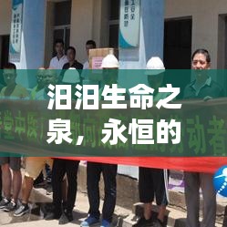 汨汨生命之泉，永恒的流動(dòng)與生機(jī)