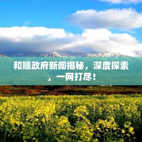 和順政府新聞揭秘，深度探索，一網(wǎng)打盡！