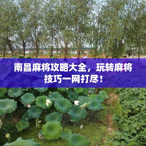 南昌麻將攻略大全，玩轉(zhuǎn)麻將技巧一網(wǎng)打盡！