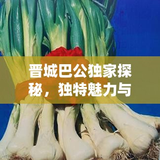 晉城巴公獨(dú)家探秘，獨(dú)特魅力與歷史底蘊(yùn)的完美結(jié)合