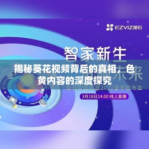 揭秘葵花視頻背后的真相，色黃內(nèi)容的深度探究