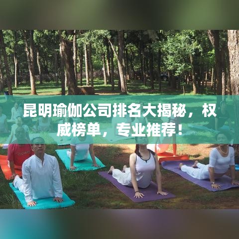 昆明瑜伽公司排名大揭秘，權(quán)威榜單，專業(yè)推薦！