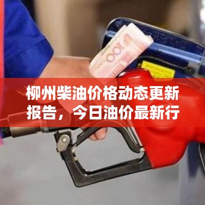 柳州柴油價格動態(tài)更新報告，今日油價最新行情分析