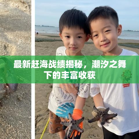 最新趕海戰(zhàn)績揭秘，潮汐之舞下的豐富收獲