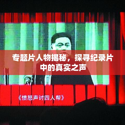 專題片人物揭秘，探尋紀(jì)錄片中的真實(shí)之聲