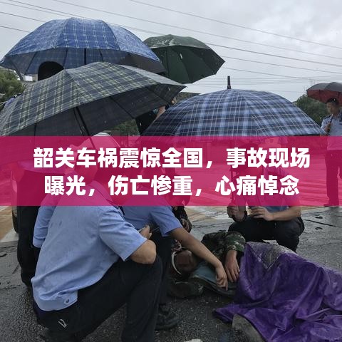 服務(wù)支持 第3頁