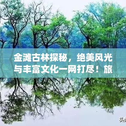 金灘古林探秘，絕美風光與豐富文化一網(wǎng)打盡！旅游攻略大揭秘！