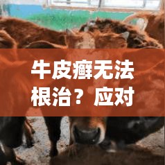 牛皮癬無法根治？應(yīng)對策略助你擺脫皮膚病困擾！