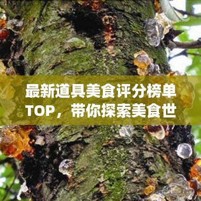 最新道具美食評分榜單TOP，帶你探索美食世界的寶藏佳肴