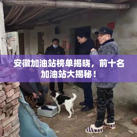 招賢納士 第3頁
