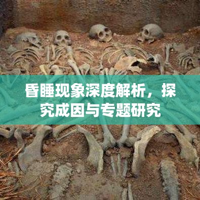 昏睡現(xiàn)象深度解析，探究成因與專題研究