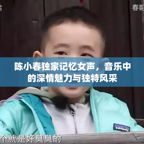 陳小春獨(dú)家記憶女聲，音樂中的深情魅力與獨(dú)特風(fēng)采