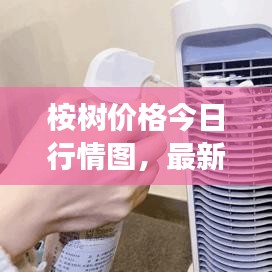 桉樹價格今日行情圖，最新市場動態(tài)一網(wǎng)打盡！