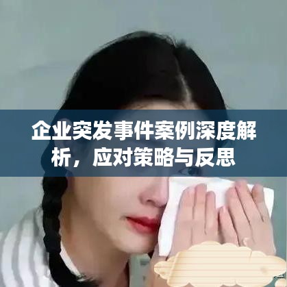 企業(yè)突發(fā)事件案例深度解析，應(yīng)對(duì)策略與反思