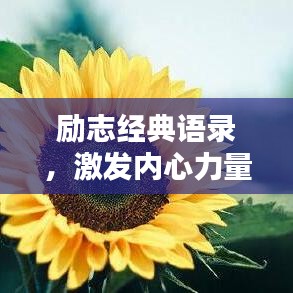 無冬無夏