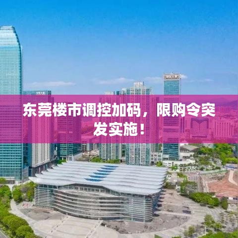 東莞樓市調(diào)控加碼，限購令突發(fā)實(shí)施！