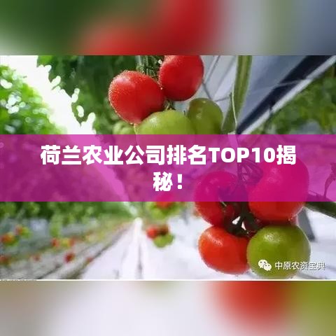 荷蘭農(nóng)業(yè)公司排名TOP10揭秘！