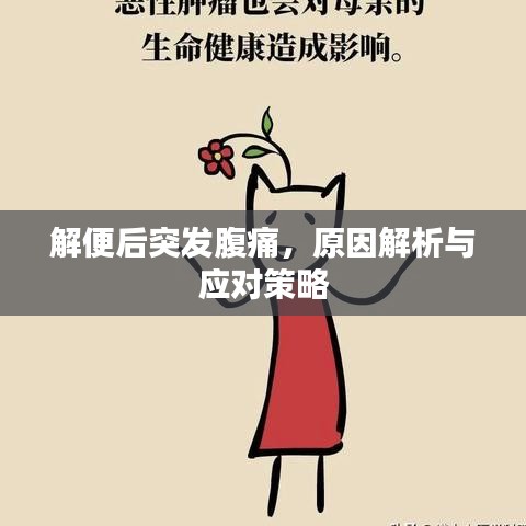 光明磊落