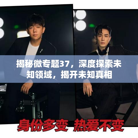揭秘微專題37，深度探索未知領(lǐng)域，揭開未知真相