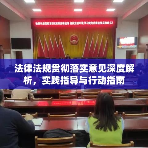 法律法規(guī)貫徹落實(shí)意見(jiàn)深度解析，實(shí)踐指導(dǎo)與行動(dòng)指南