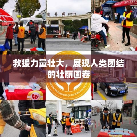 救援力量壯大，展現(xiàn)人類團(tuán)結(jié)的壯麗畫卷