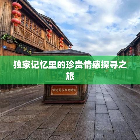 獨家記憶里的珍貴情感探尋之旅