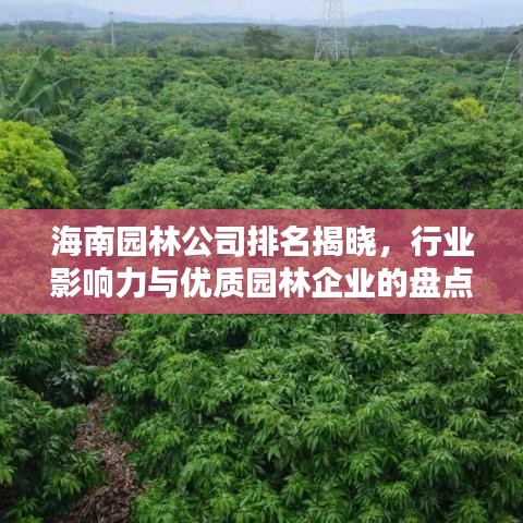 海南園林公司排名揭曉，行業(yè)影響力與優(yōu)質園林企業(yè)的盤點