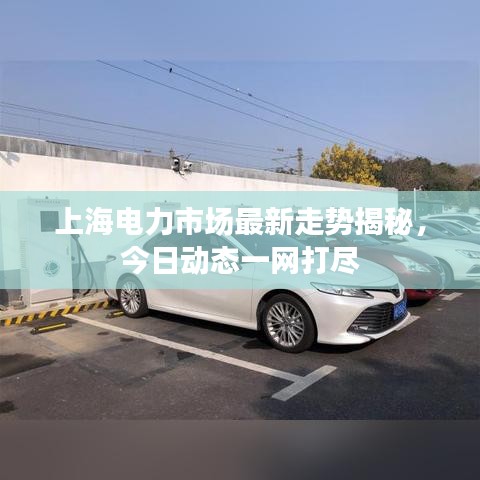 上海電力市場(chǎng)最新走勢(shì)揭秘，今日動(dòng)態(tài)一網(wǎng)打盡