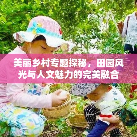 美麗鄉(xiāng)村專題探秘，田園風(fēng)光與人文魅力的完美融合