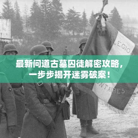 最新問道古墓囚徒解密攻略，一步步揭開迷霧破案！