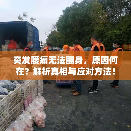 突發(fā)腰痛無法翻身，原因何在？解析真相與應(yīng)對方法！