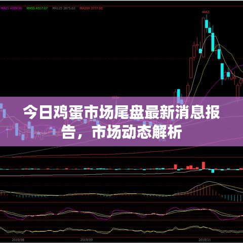 今日雞蛋市場(chǎng)尾盤最新消息報(bào)告，市場(chǎng)動(dòng)態(tài)解析