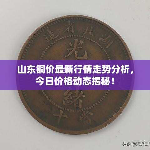 山東銅價(jià)最新行情走勢分析，今日價(jià)格動(dòng)態(tài)揭秘！