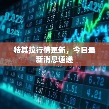 特其拉行情更新，今日最新消息速遞
