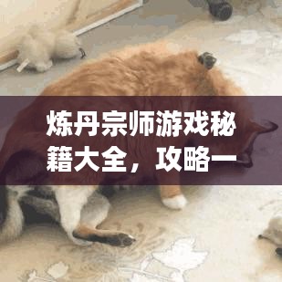 煉丹宗師游戲秘籍大全，攻略一網(wǎng)打盡！