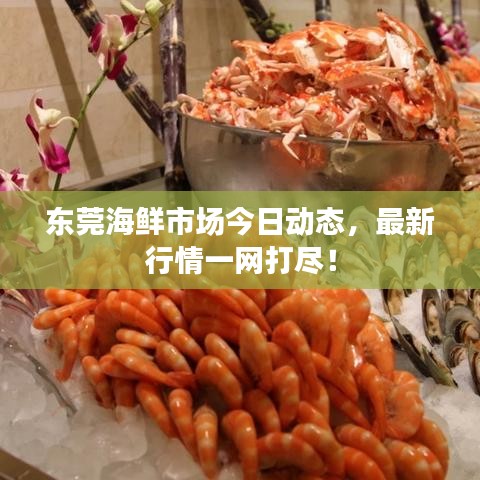 東莞海鮮市場今日動態(tài)，最新行情一網(wǎng)打盡！