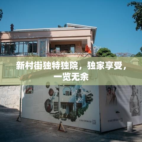 新村街獨(dú)特獨(dú)院，獨(dú)家享受，一覽無余