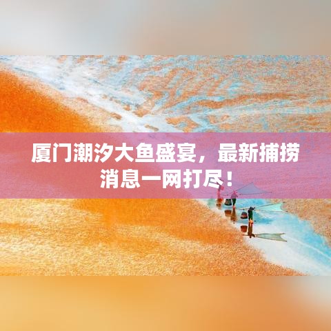 廈門潮汐大魚盛宴，最新捕撈消息一網(wǎng)打盡！