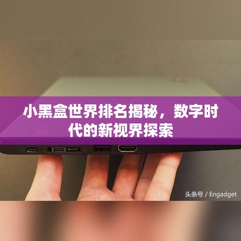 小黑盒世界排名揭秘，數(shù)字時(shí)代的新視界探索